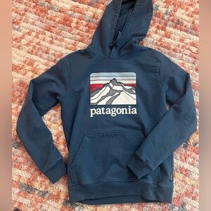 Patagonia Dark Blue Hoodie with Mountain Design